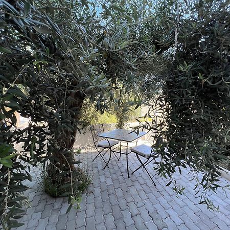 Appartamento L'Ulivo 브란칼레오네 마리나 외부 사진